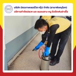 รับฉีดปลวก กำจัดปลวก - กำจัดปลวกพิษณุโลก มิตรภาพ เซอร์วิส กรุ๊ป