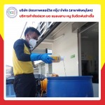 กำจัดปลวก พิษณุโลก - กำจัดปลวกพิษณุโลก มิตรภาพ เซอร์วิส กรุ๊ป