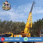 รถเครนรับจ้าง ชลบุรี - ให้เช่ารถเครน รถเฮี๊ยบ รถเทรลเลอร์ ชลบุรี