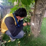 กำจัดปลวกหัวหิน - บริษัทกำจัดปลวกเพชรบุรี มิตรภาพ เซอร์วิส กรุ๊ป
