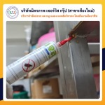 รับกำจัดหนู แมลงสาบ กำจัดมด - ฉีดปลวกเชียงใหม่ มิตรภาพเซอร์วิส กรุ๊ป