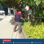 กำจัดปลวก เซททาไวท์ - กำจัดตุ๊กแก เซททาไวท์