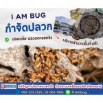 บริษัทฉีดปลวกใกล้ฉัน - กำจัดปลวก เหยื่อกำจัดปลวก ปทุมธานี - ไอ แอม บัก