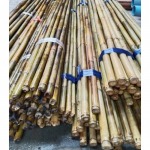 ร้านขายไม้รวกราคาถูกนิมิตใหม่ - ไม้ยูคา - ไม้ไผ่ นิมิตใหม่ สุนทรวาณิชย์