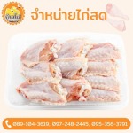 ขายไก่ราคาถูก - ขายส่งไก่  - บ้านไก่บึงคำพร้อย
