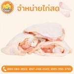 ขายส่งเนื้อไก่ - ขายส่งไก่  - บ้านไก่บึงคำพร้อย