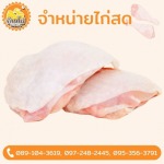 โรงงานไก่ เนื้อไก่ - ขายส่งไก่  - บ้านไก่บึงคำพร้อย