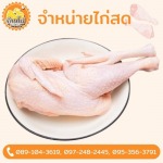 โรงงานผลิตเนื้อไก่ - ขายส่งไก่  - บ้านไก่บึงคำพร้อย