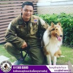 รับฝากสุนัขใหญ่ - รับฝึกสอนสุนัขและรับเลี้ยงทุกสายพันธุ์