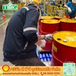 ขายส่งน้ำมันหล่อลื่น SHELL