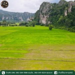 ขายที่ดินในจังหวัดสุโขทัย ราคาถูก