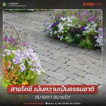 ไอเดียจัดสวนเรียกทรัพย์เสริมโชคลาภ