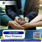 โปรแกรมบริหารสินเชื่อ PICO Finance