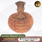รับซื้อกระเพาะปลาโบราณ