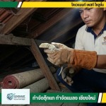 บริการจับตุ๊กแกถึงบ้าน โทรเรียกด่วน