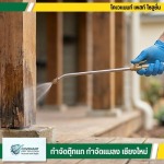 บริษัทกำจัดปลวก ฉีดปลวกด้วยสมุนไพร ในเชียงใหม่