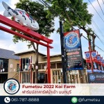 ฟาร์มปลาคราฟนำเข้าญี่ปุ่น