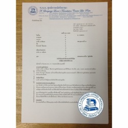 รับแปลเอกสารสัญญาต่างประเทศ