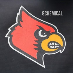  Screen printing ink