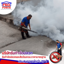 รับกำจัดแมลงบินรบกวน พัทยา ชลุบรี