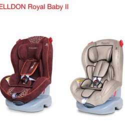 Car Seat ในรถยนต์