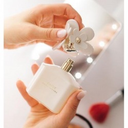 Fragrance oil inspired by Brandname and Counter brand perfume