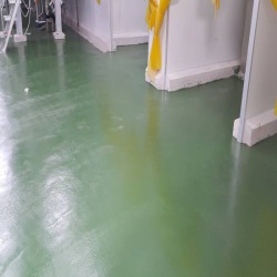 Flooring System