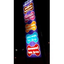 อาบน้ำสัตว์เลี้ยง