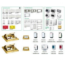 Switch & Receptacle