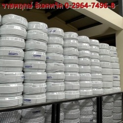 สายไฟบ้าน ราคาส่ง