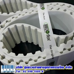 Timing Belt PU