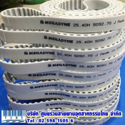 สายพานปลายเปิด MEGADYNE