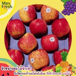 Korean Pears