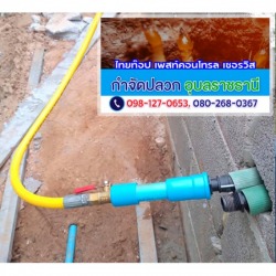 อัดน้ำยาเข้าท่อLDPE-กำจัดปลวกอุบลราชธานี