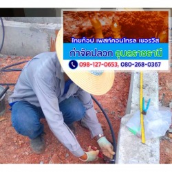 งานวางท่อ(LDPE) อัดน้ำยาเคมีกำจัดปลวก