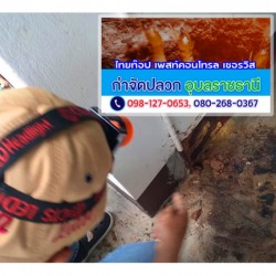 เจาะอัดพื้นฉีดพ่นน้ำยาเคมีป้องกันปลวกอุบลฯ