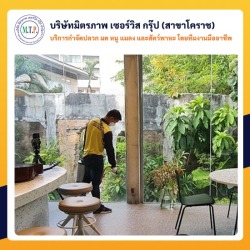กำจัดแมลงสาบโคราช