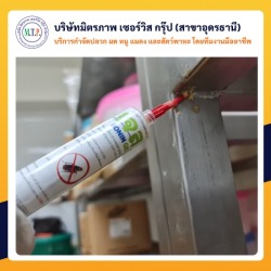 กำจัดแมลงสาบอุดรธานี