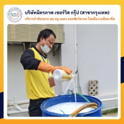 รับกำจัดปลวกนนทบุรี