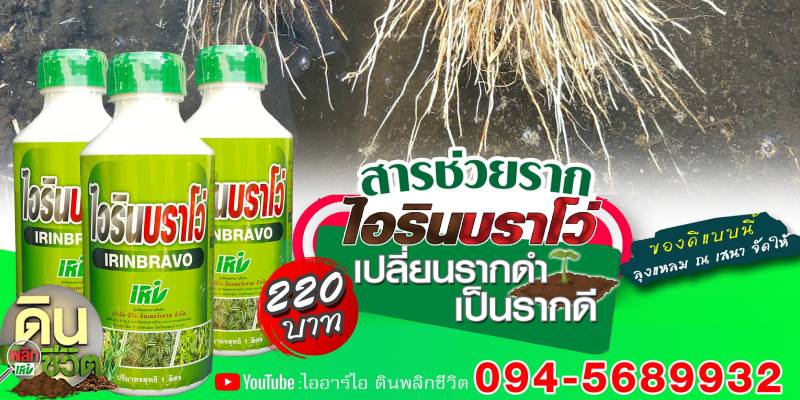 ไอรินบราโว่