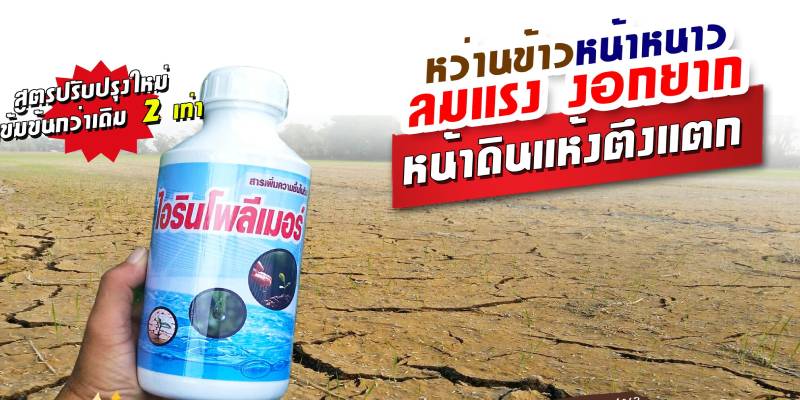 ไอริน-โพลีเมอร์ ไอริน-โพลีเมอร์