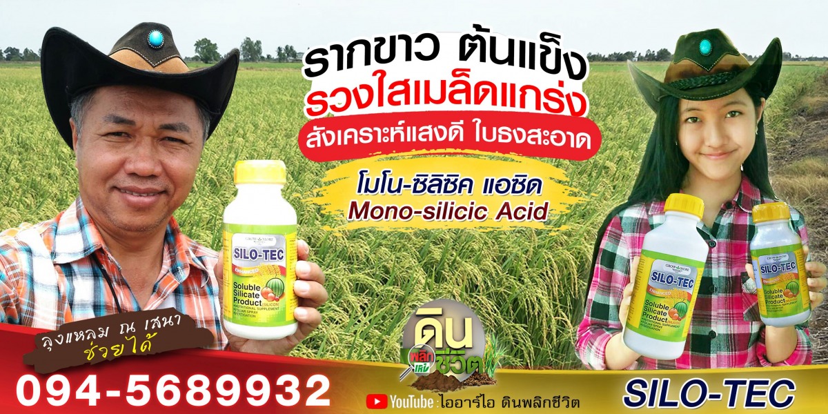 โมโน-ซิลิซิค แอซิด โมโน-ซิลิซิค แอซิด