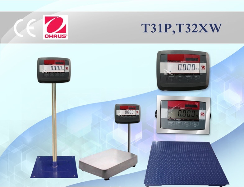 T31P T31P
