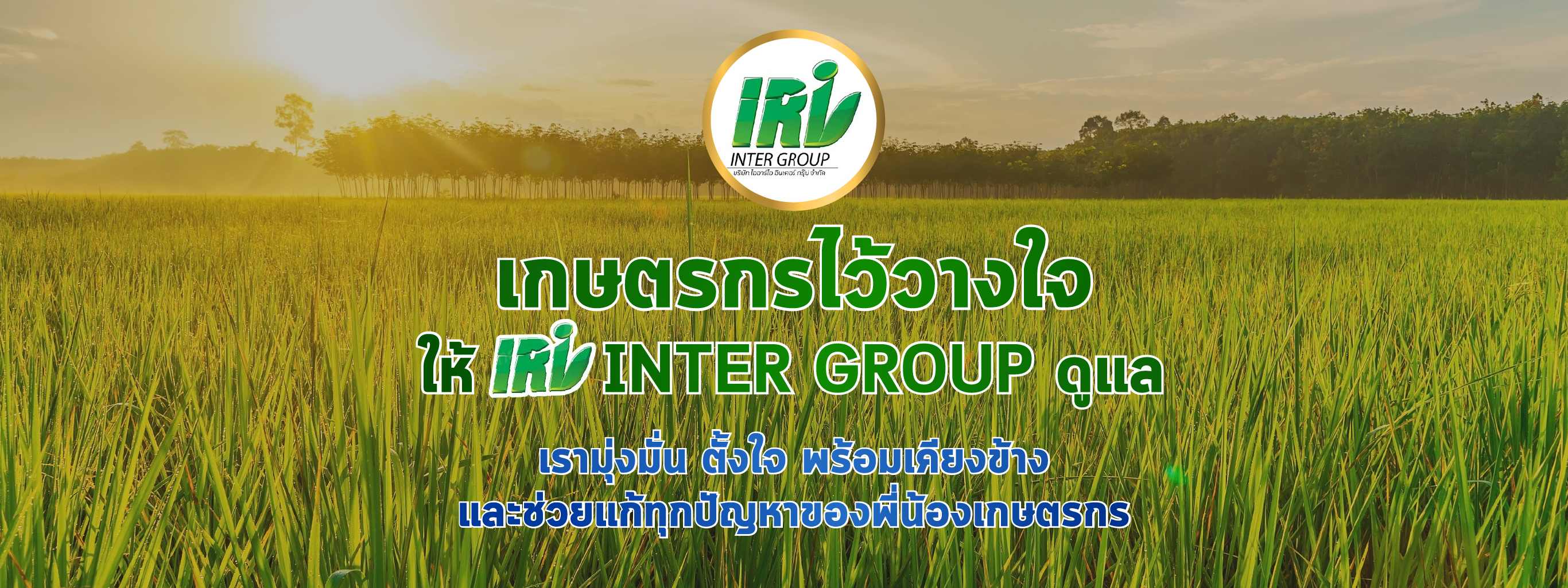 1-บริษัท ไออาร์ไอ อินเตอร์ กรุ๊ป จำกัด 1-บริษัท ไออาร์ไอ อินเตอร์ กรุ๊ป จำกัด