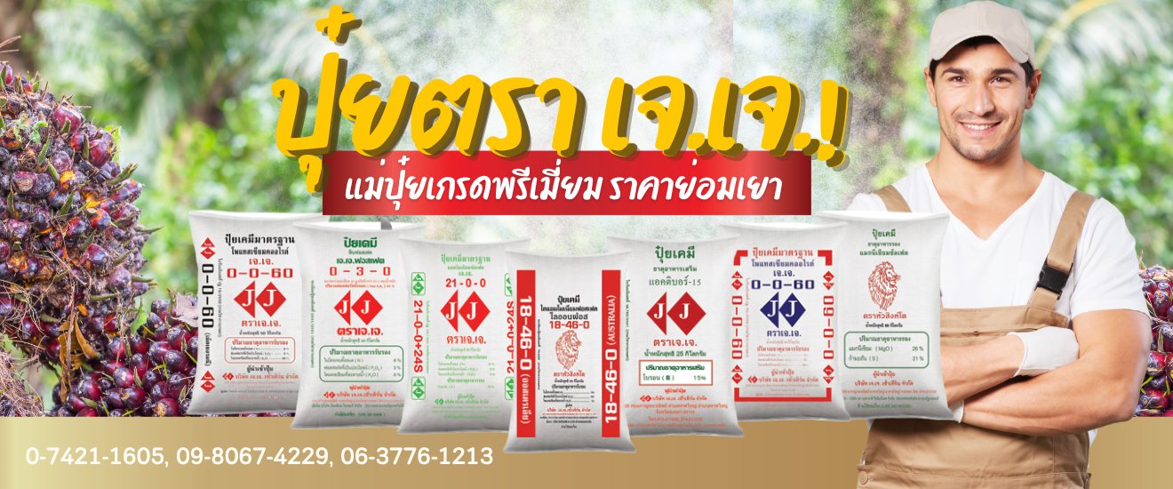 4-บริษัท เจ.เจ.เซ้าเทิร์น จำกัด 4-บริษัท เจ.เจ.เซ้าเทิร์น จำกัด