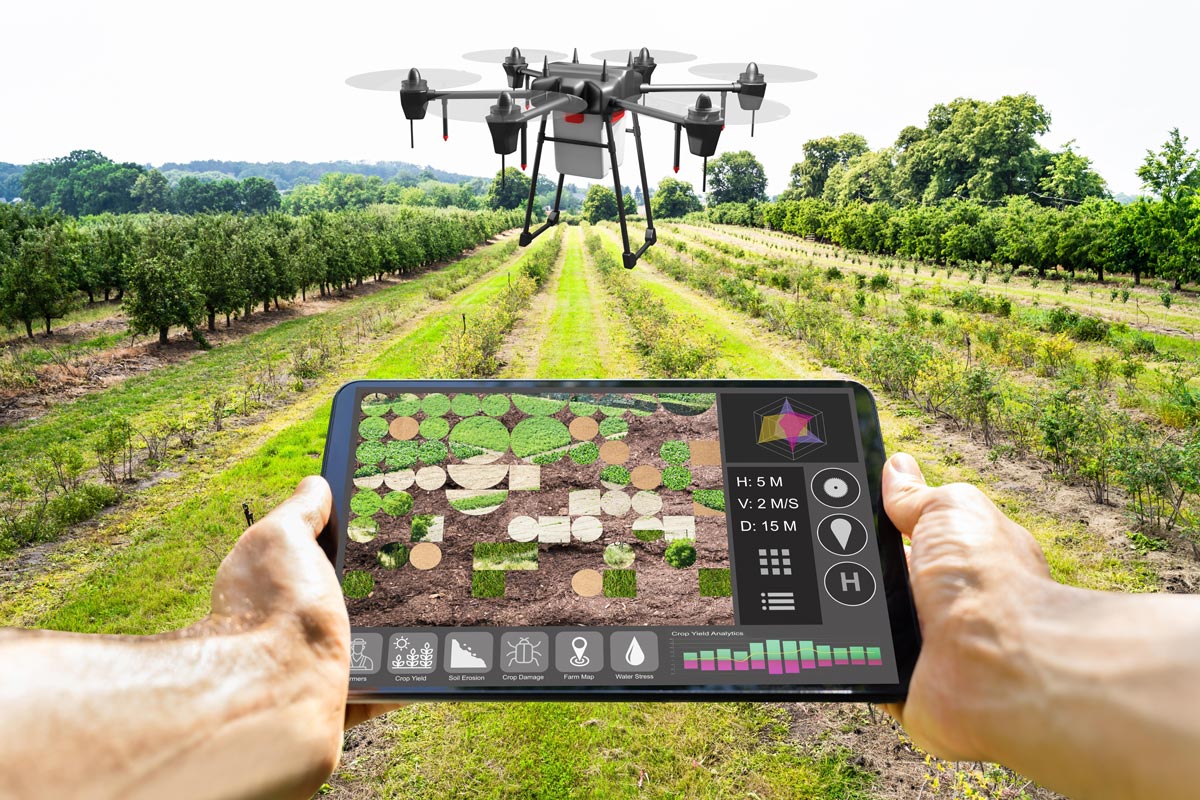 Precision Farming ช่วยให้เกษตรกรทำงานได้อย่างแม่นยำ มีประสิทธิภาพ และ เป็นมิตรต่อสิ่งแวดล้อมมากขึ้น Precision Farming ช่วยให้เกษตรกรทำงานได้อย่างแม่นยำ มีประสิทธิภาพ และ เป็นมิตรต่อสิ่งแวดล้อมมากขึ้น